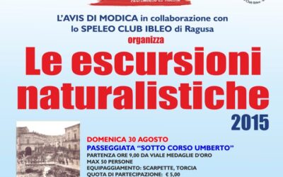Escursioni guidate