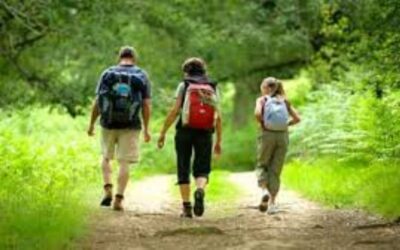 Rinviata la camminata veloce “Per l’Avis …in cammino”